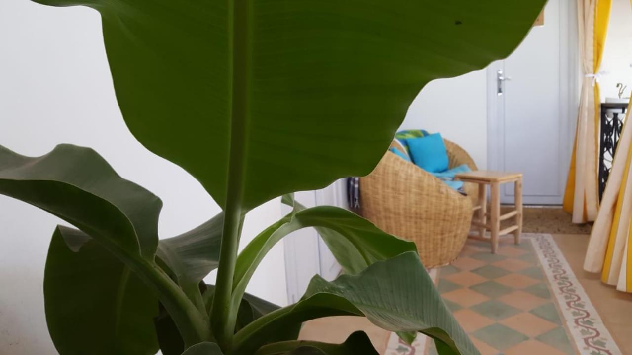 Riad Medina Марракеш Екстер'єр фото